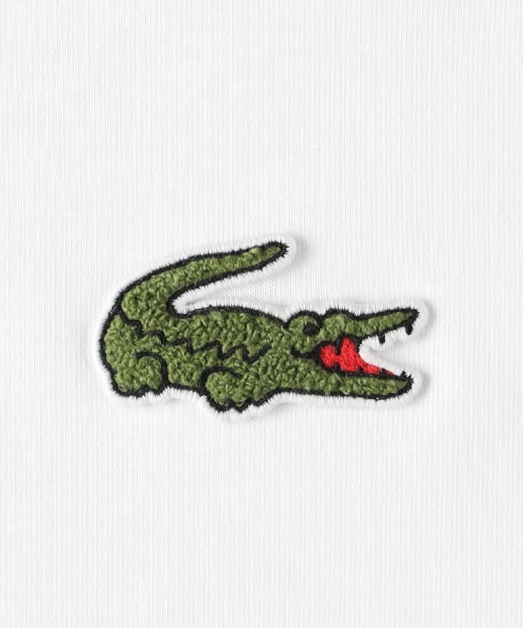 ライトオン(Right-on)のLACOSTE(ラコステ)ワニロゴルーズフィットＴ4