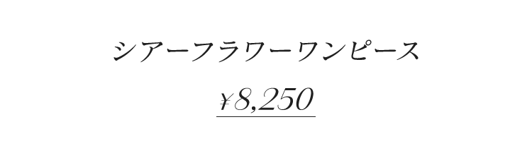 着用画像