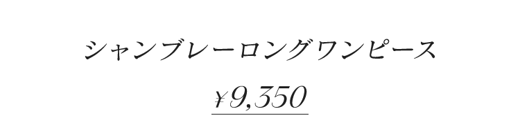 着用画像