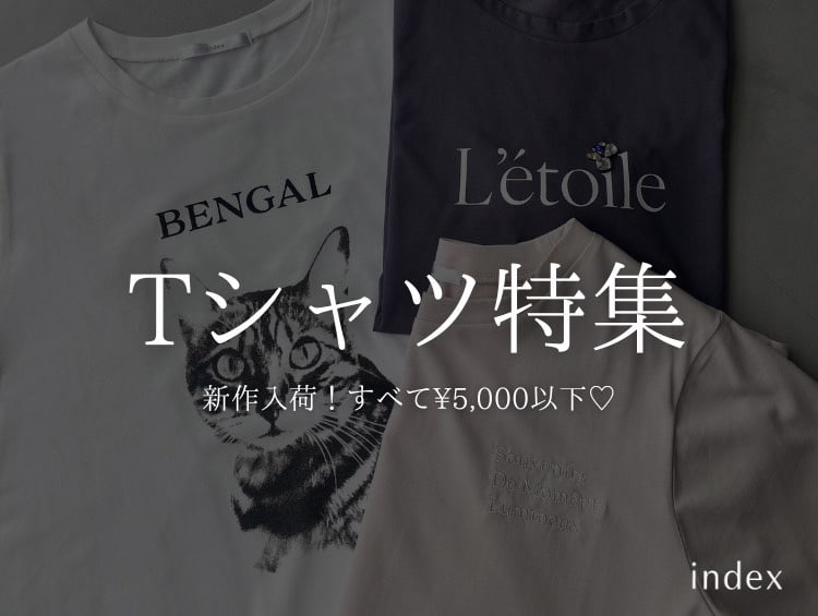 すべて5,000円以下！【初夏のTシャツ特集】| index（インデックス）