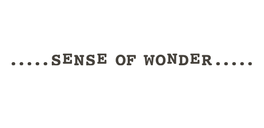 sense of wonder/センスオブワンダー