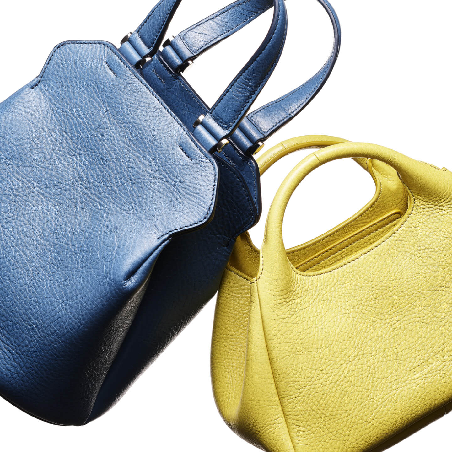 IN A PLAYFUL MOOD<br>CAMPANELLA AND CASTAGNA