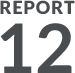 REPORT 12