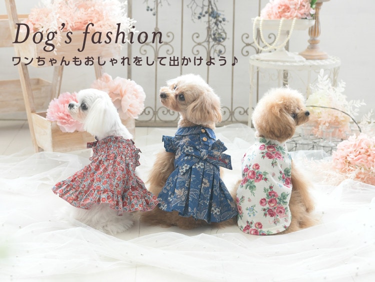Laura Ashley(ローラ アシュレイ)の通販 | ワールド Laura Ashley(ローラ アシュレイ)の通販 | ワールド