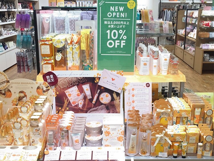 One Sterrace ららぽーと甲子園店 9 10 金 グランド オープン ワールド オンラインストア World Online Store