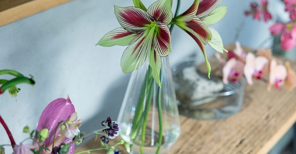 東京・西荻窪の花屋「cotito」さんに教わる 花瓶に合わせた花の愉しみ
