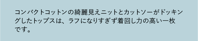 コンパクトコットンの綺麗見えニットとカットソーがドッキングしたトップスは、ラフになりすぎず着回し力の高い一枚です。