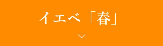 イエベ「春」