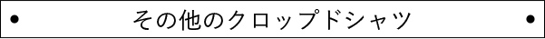 その他のクロップドシャツ