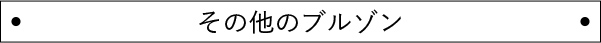 その他のブルゾン