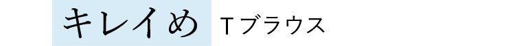 キレイめ Tブラウス