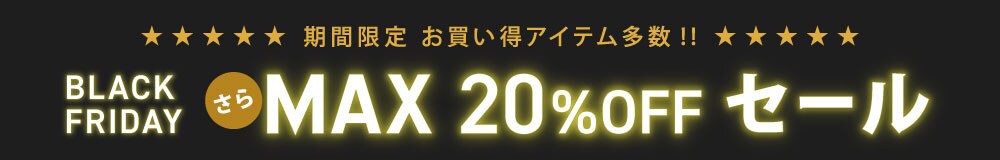 BLACK FRIDAY SALE